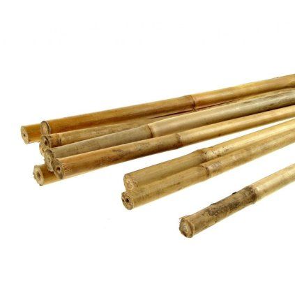 Bamboo Tyč malá průměr 1 - 1,5 cm, délka 30 cm  Bamboo