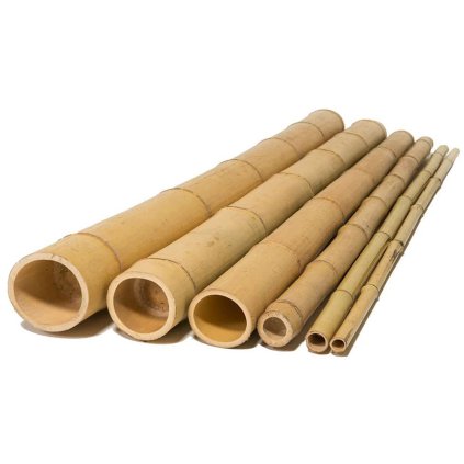 Bamboo Tyče průměr 8-10 cm, délka 150 cm  Bamboo