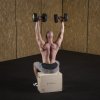 DSC04 PLYO BOX HMS