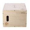 DSC04 PLYO BOX HMS